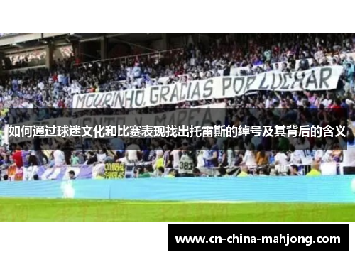 如何通过球迷文化和比赛表现找出托雷斯的绰号及其背后的含义 如何通过球迷文化和比赛表现找出托雷斯的绰号及其背后的含义