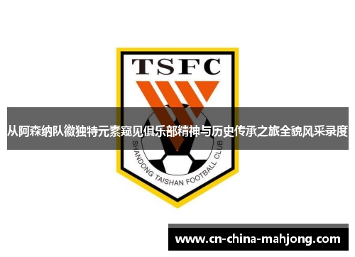 从阿森纳队徽独特元素窥见俱乐部精神与历史传承之旅全貌风采录度 从阿森纳队徽独特元素窥见俱乐部精神与历史传承之旅全貌风采录度