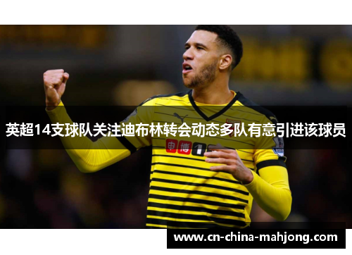 英超14支球队关注迪布林转会动态多队有意引进该球员