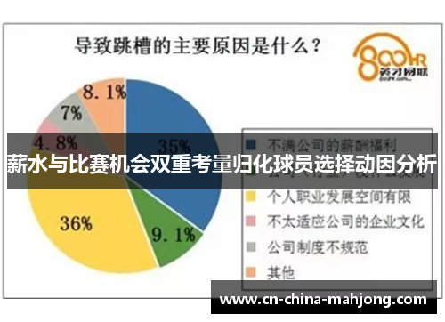 薪水与比赛机会双重考量归化球员选择动因分析 薪水与比赛机会双重考量归化球员选择动因分析