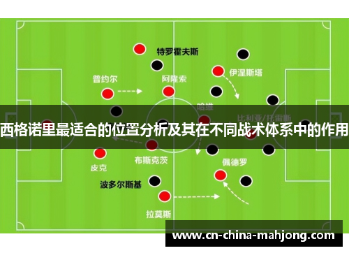 西格诺里最适合的位置分析及其在不同战术体系中的作用
